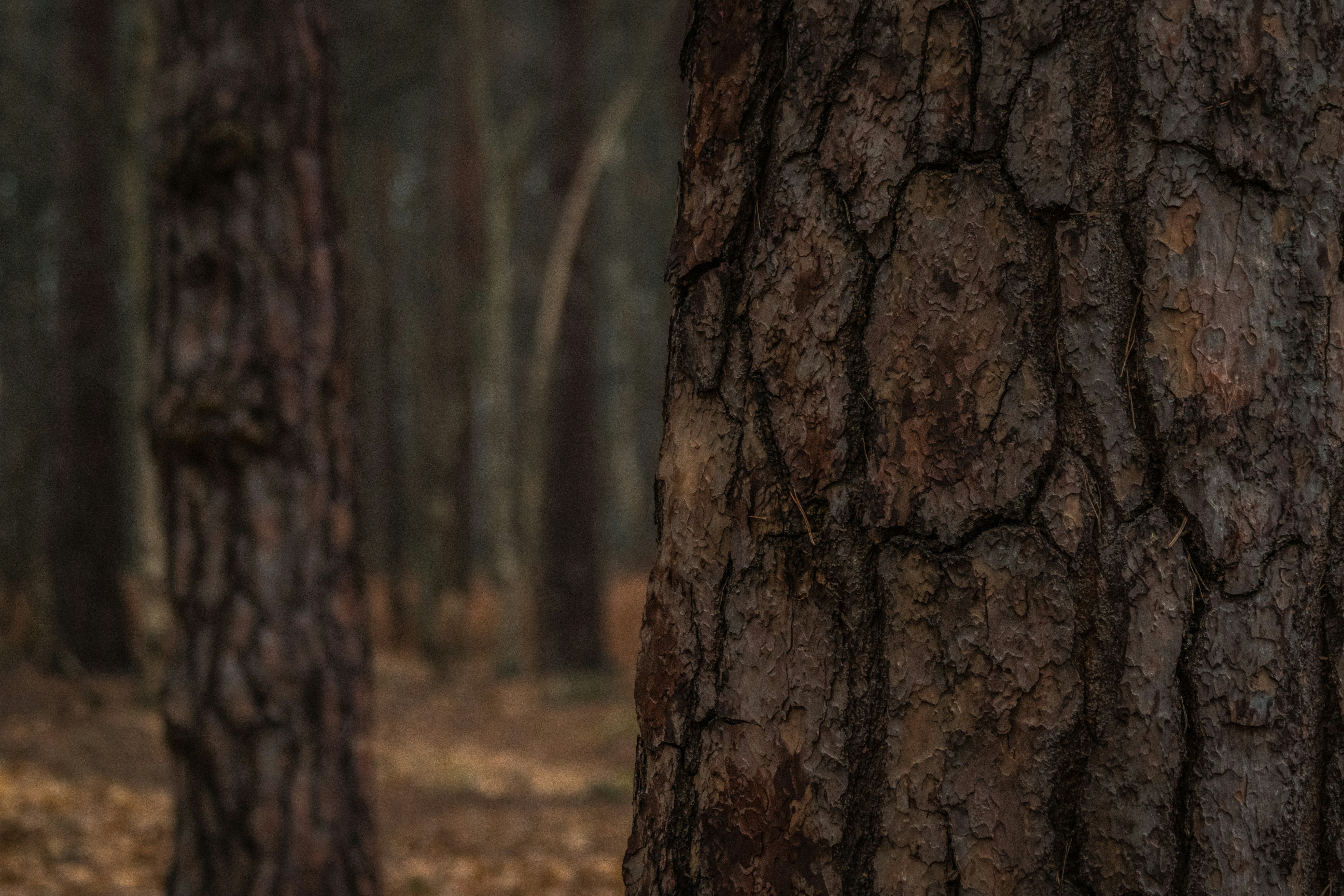 Photo by will_bolding_photography