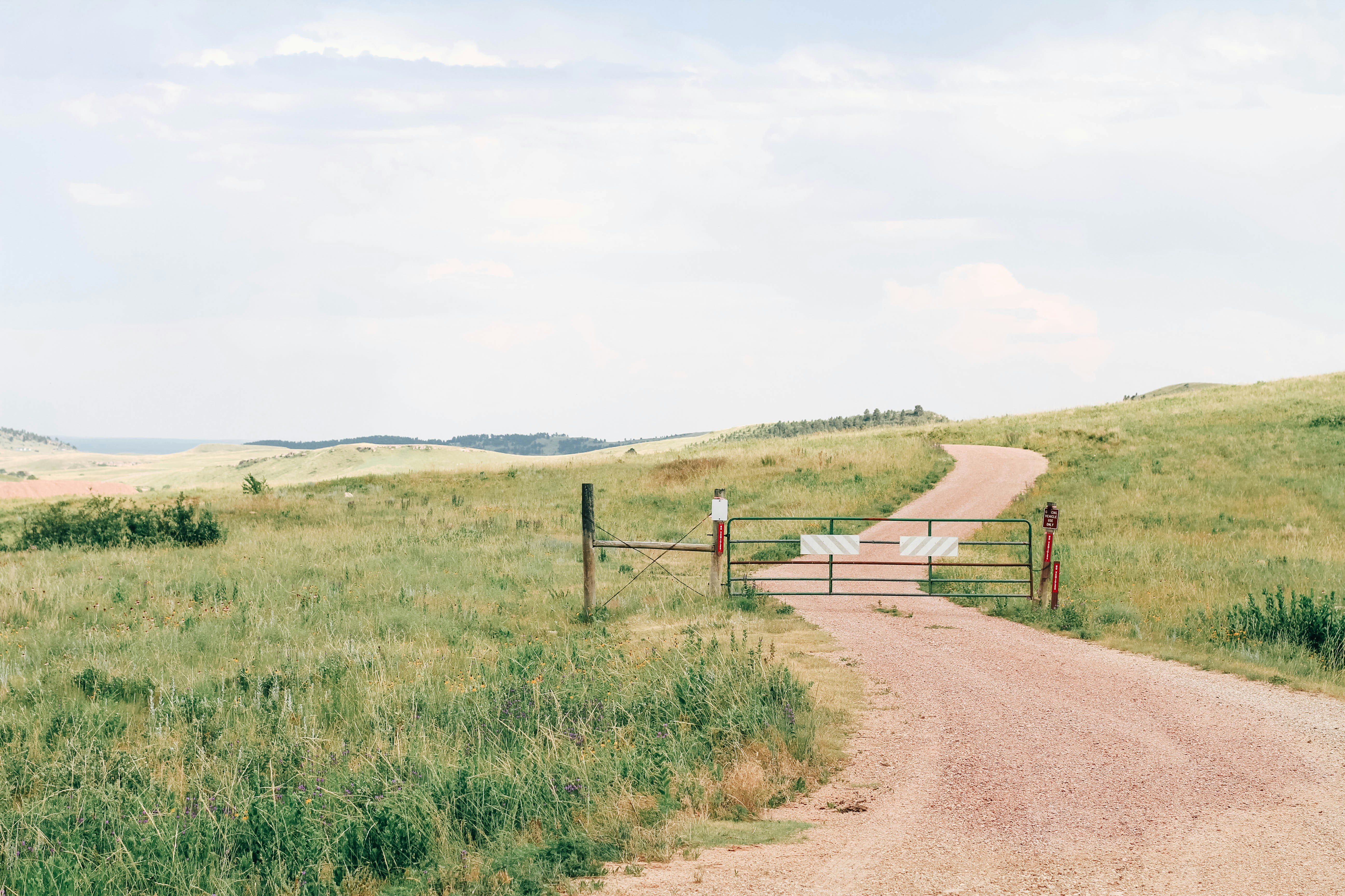 Regenerative Farming – A Quiet Revolution in Commercial Agriculture