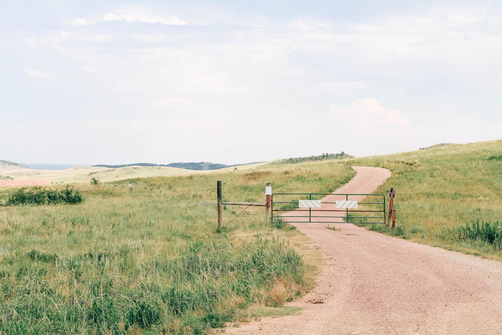 brown path between grass fields