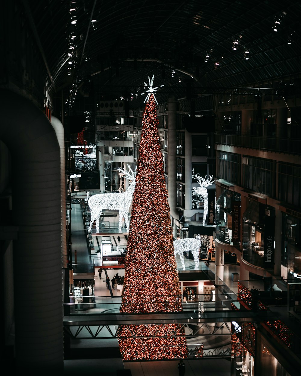 Christmas tree between buildings