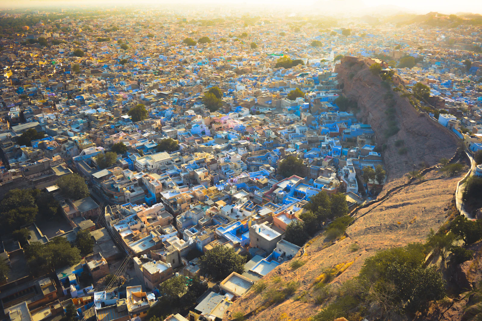 Digital Marketing Agency in Jodhpur — BigCortexIQ