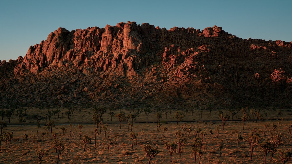 brown mountain near green tree field