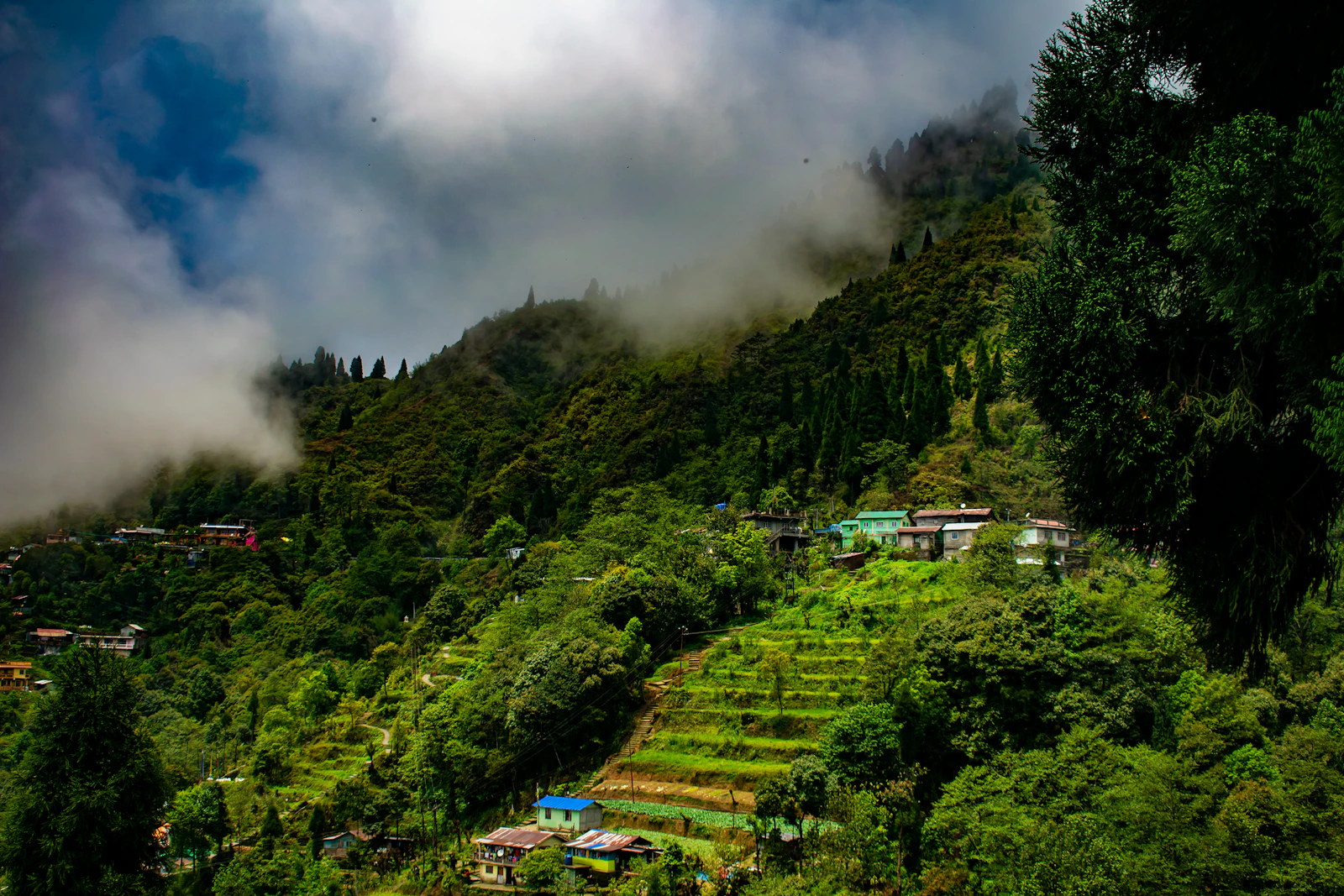 Hillside houses in cloud above Darjeeling