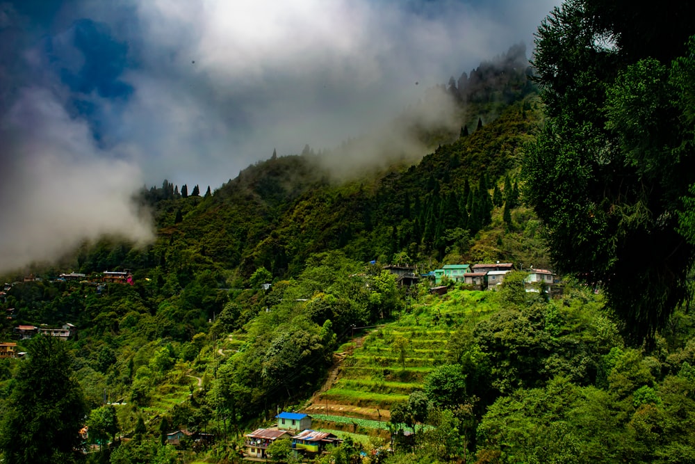 forêt nuageuse avec des maisons au pied de la colline