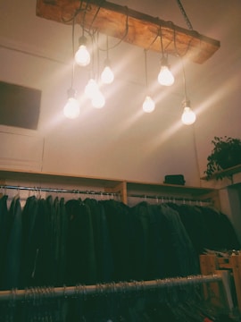 A rustic light fixture composed of multiple exposed light bulbs hangs from the ceiling, illuminating a closet space. Below the lights, a rack of dark-colored coats and jackets is neatly arranged. A small potted plant sits on the shelf to the right, adding a touch of greenery to the scene.