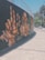 A vibrant street mural featuring large, realistic paintings of hands and faces adorned with butterflies. The artwork is situated on a curved wall beside a sidewalk. The background is predominantly black, which makes the warm colors of the paintings stand out. Cars and trees are visible in the street scene nearby.