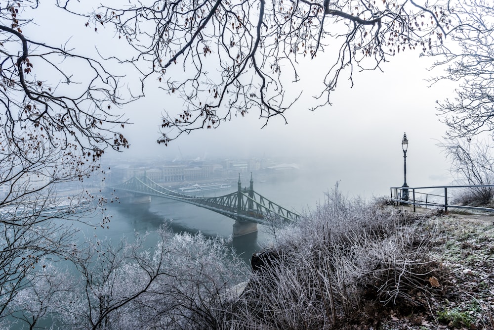 black bridge during foggy day