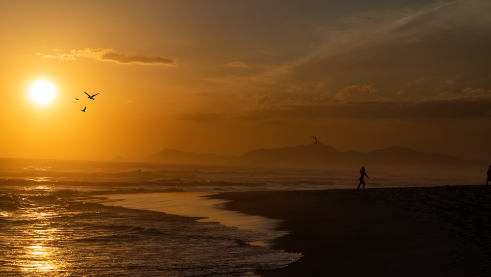 silhouette photography of woman on seashore