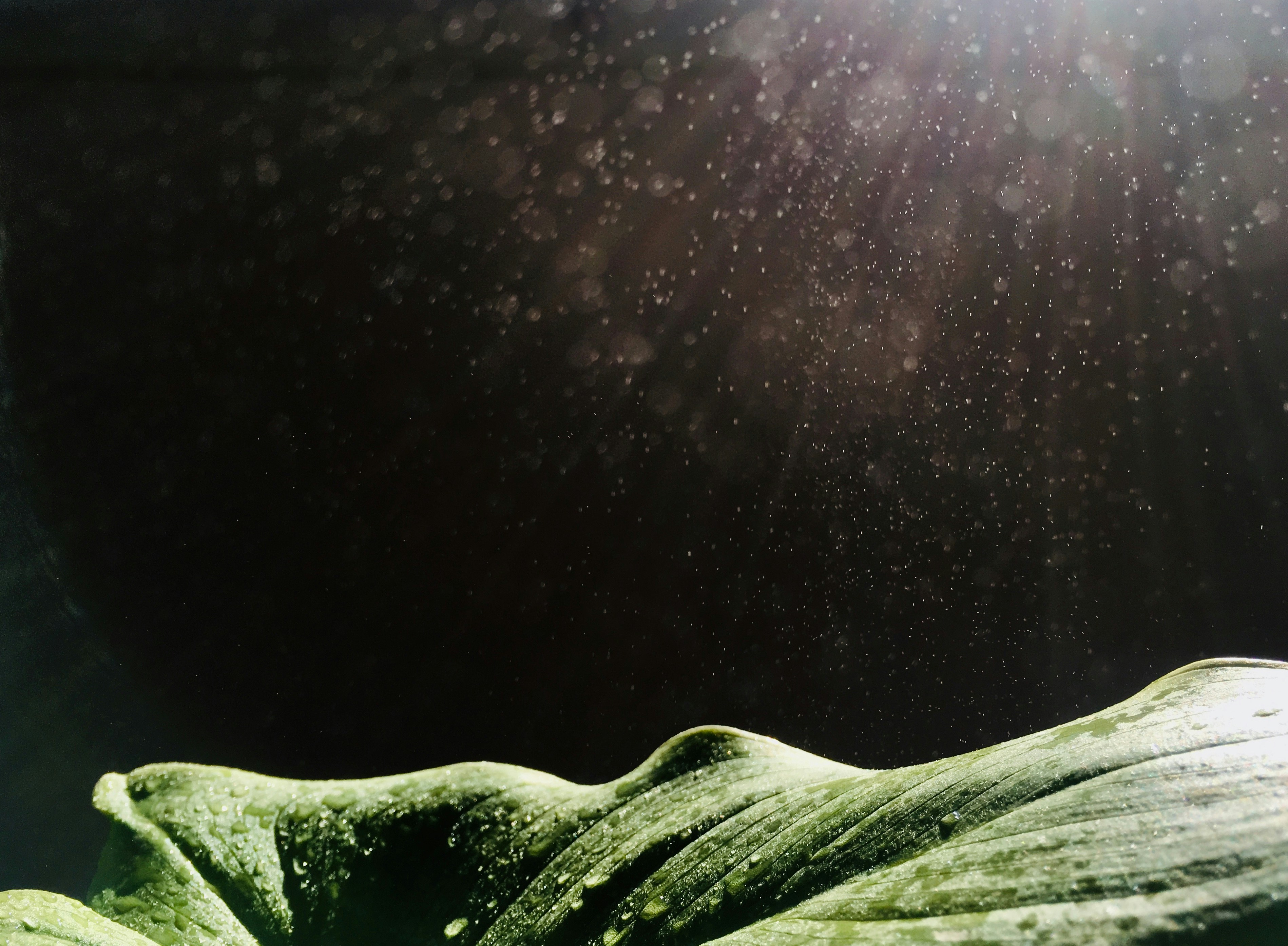 🌞 햇빛 샤워, 내 몸에 비타민D 충전! 건강 레벨 UP! 🚀