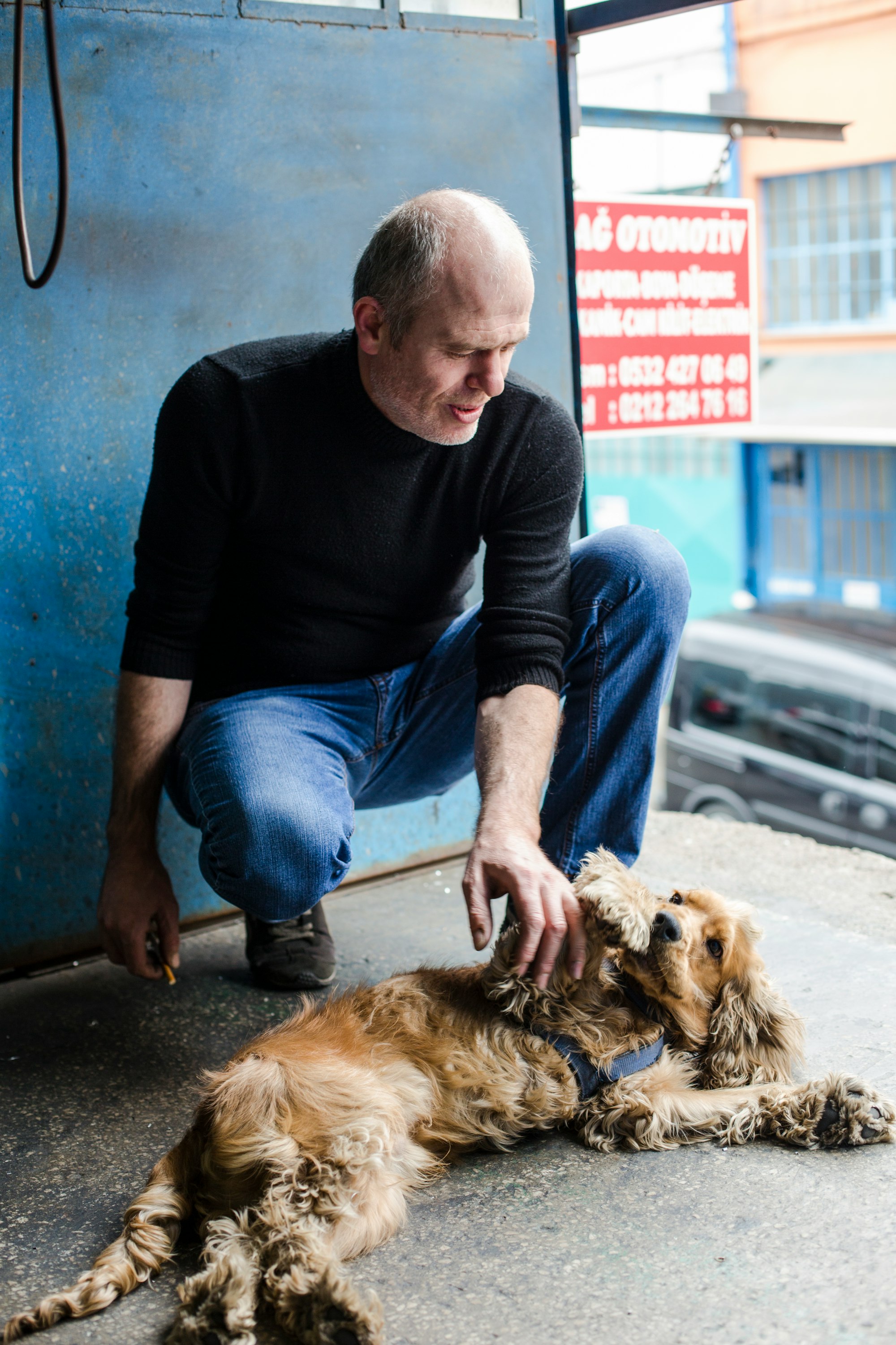 Come fare amicizia con un cane sconosciuto