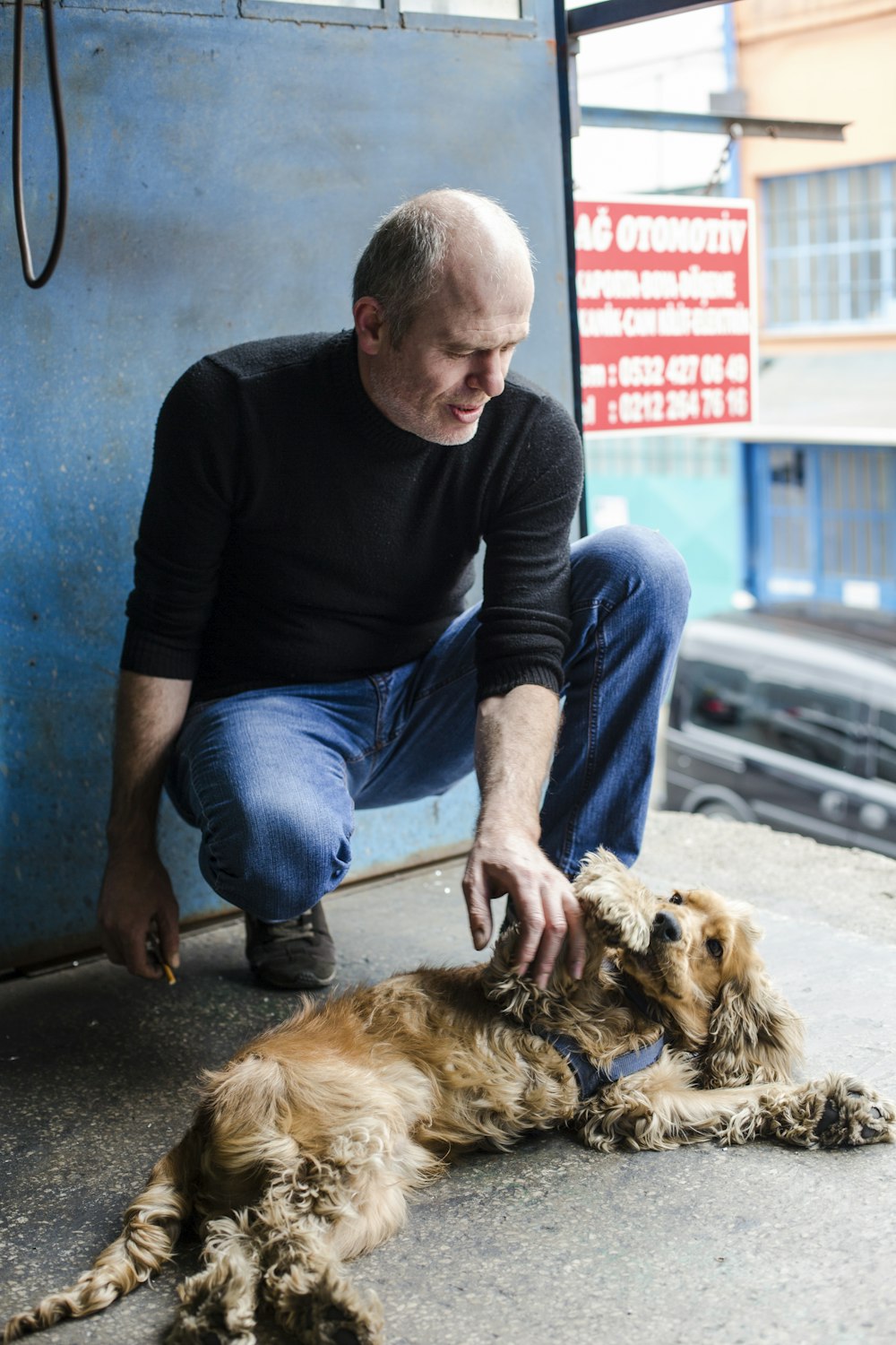 man petting English cocker spaniel