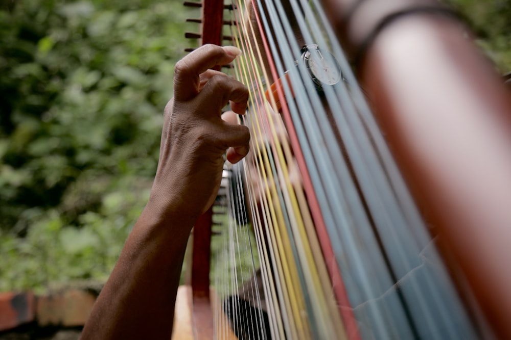 person playing string instrument