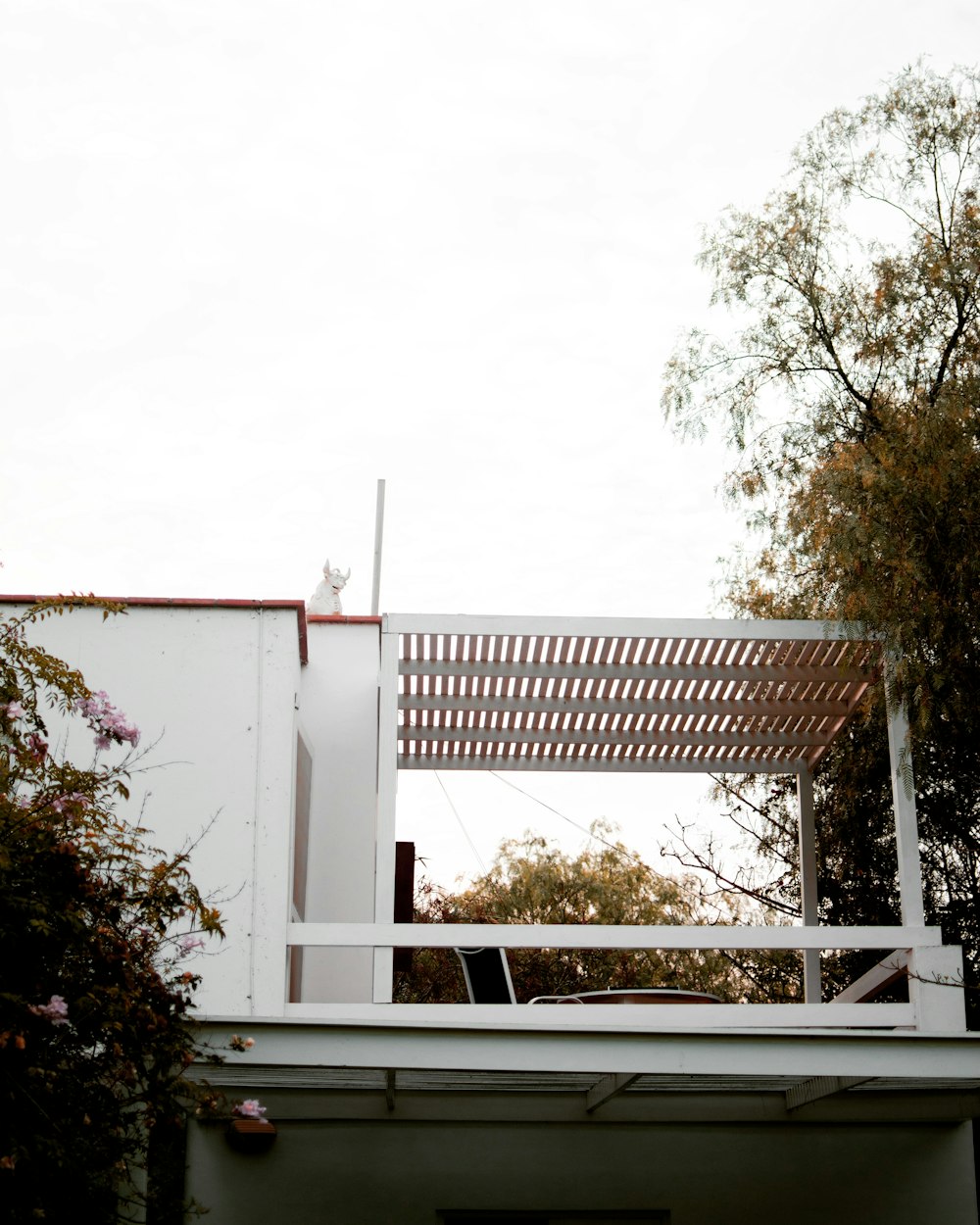 balcony beside tree