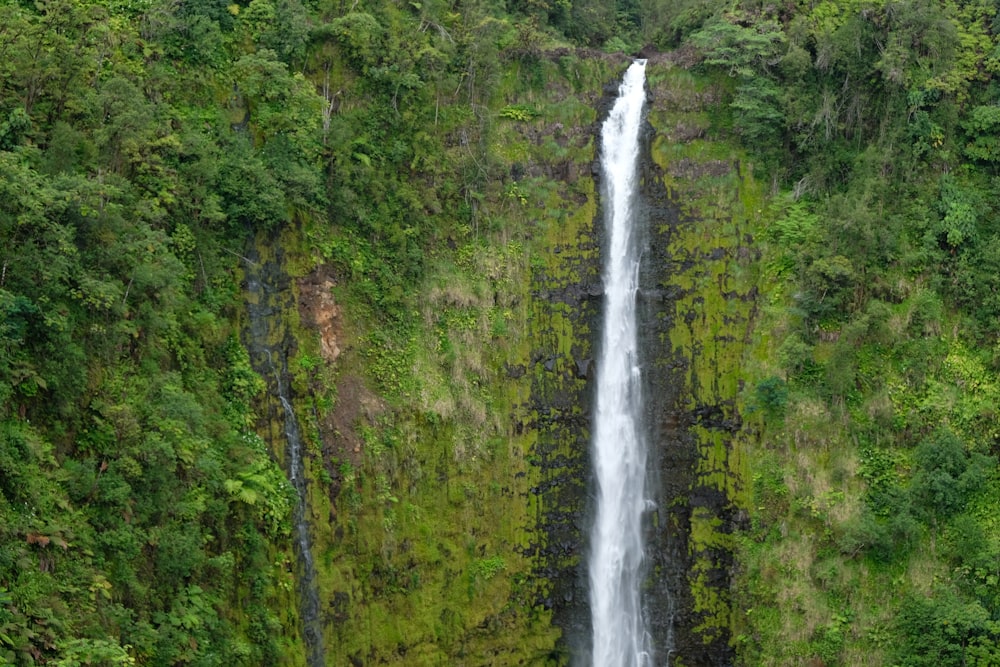 aerial photo of waterfalls
