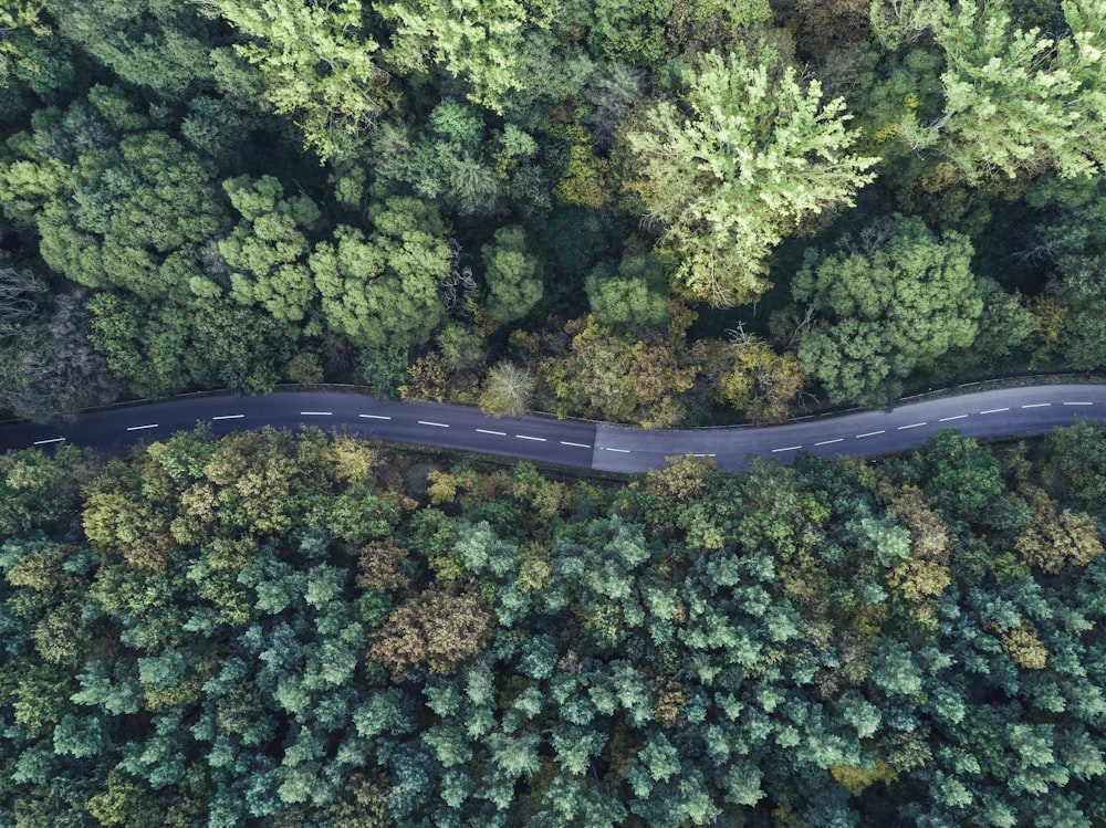 bird's-eye view photography of road