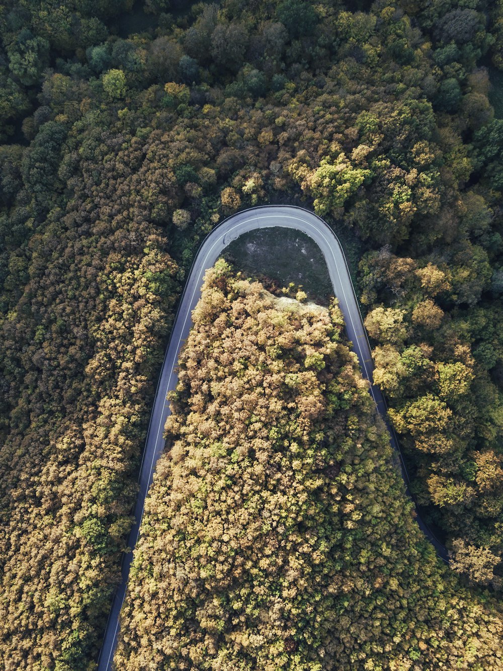 Route avec vue à vol d’oiseau