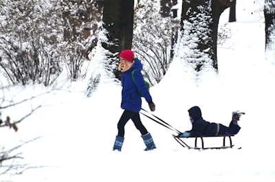woman carrying sleigh sleigh google meet background