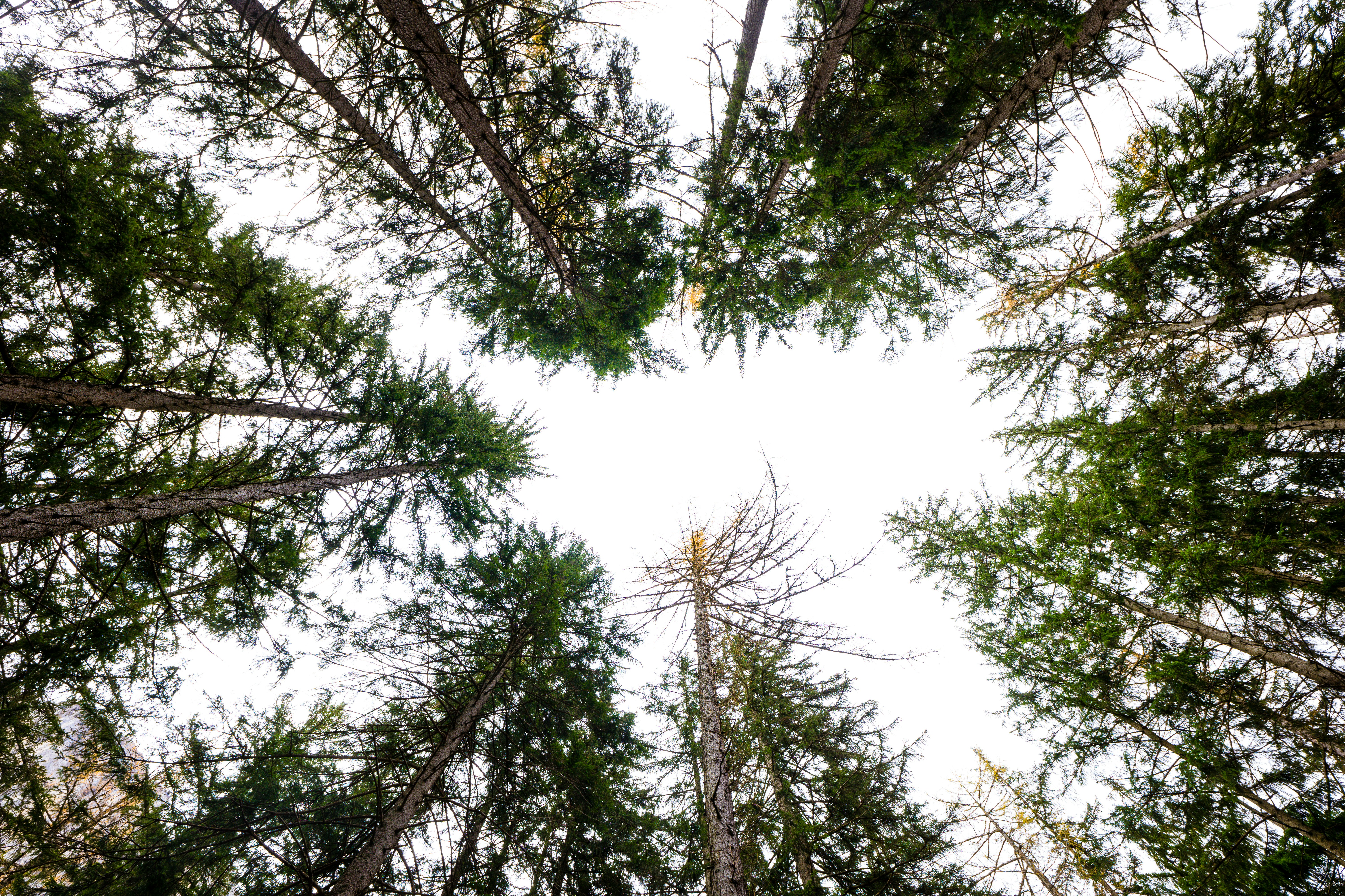 Photo by ballaschottner