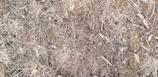 Close-up of detailed texture in a mixed media artwork with natural elements