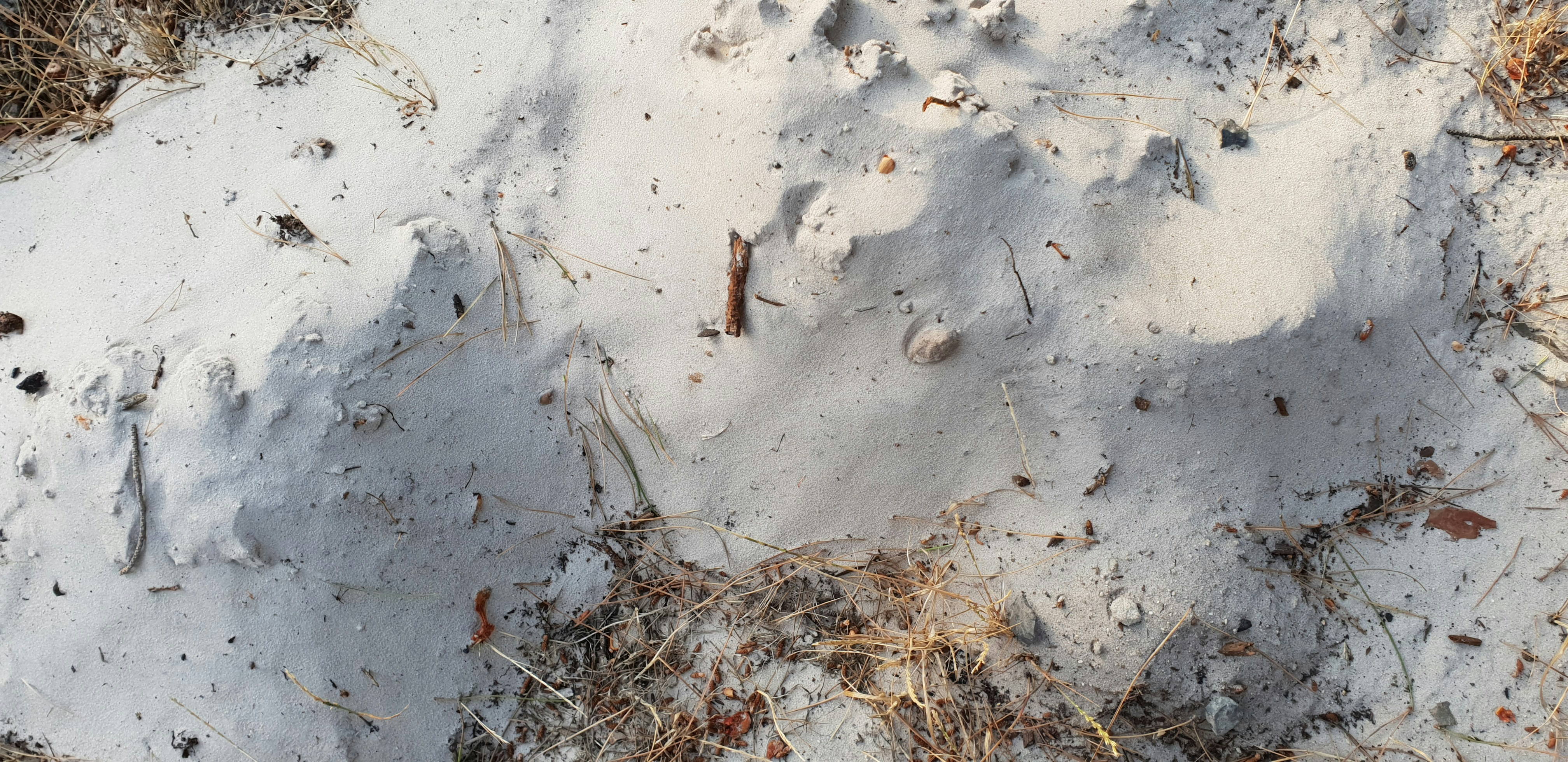 Photo by alphabetania