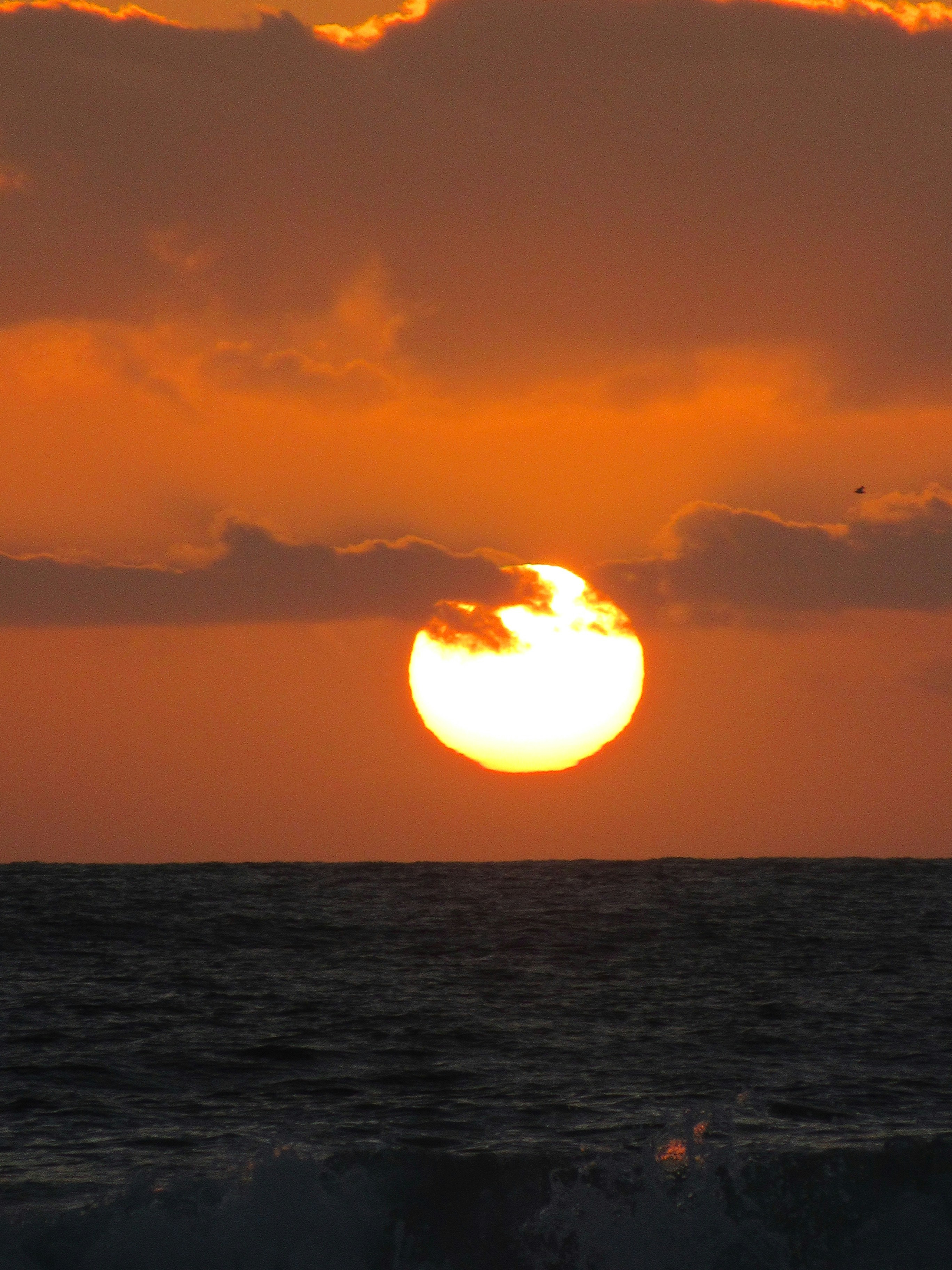 Photo by angiecorbettkuiper