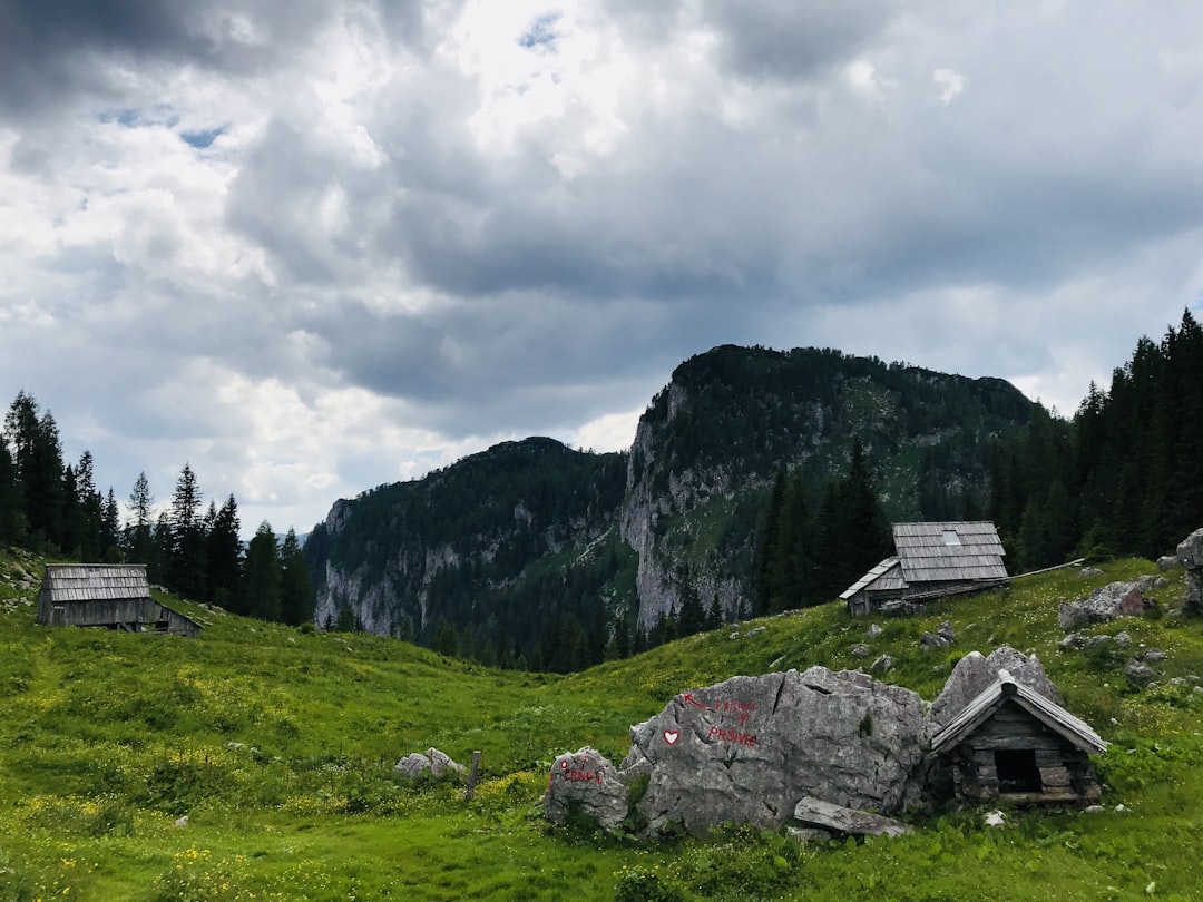 gray mountain beside trees