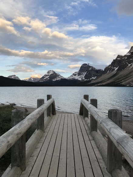 brown dock under white sky