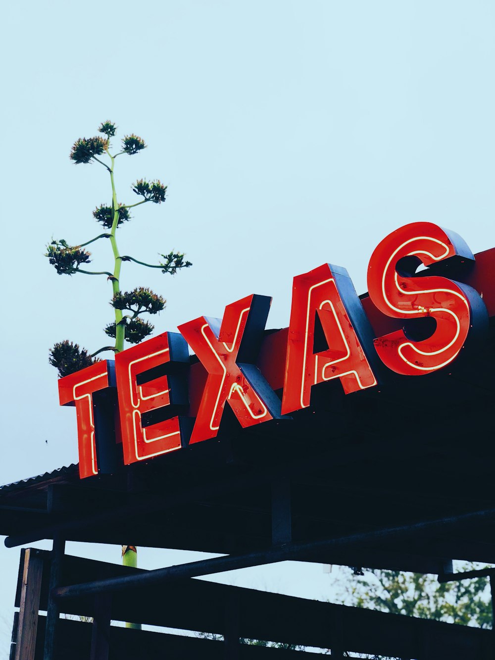 letreros rojos de tiendas de Texas