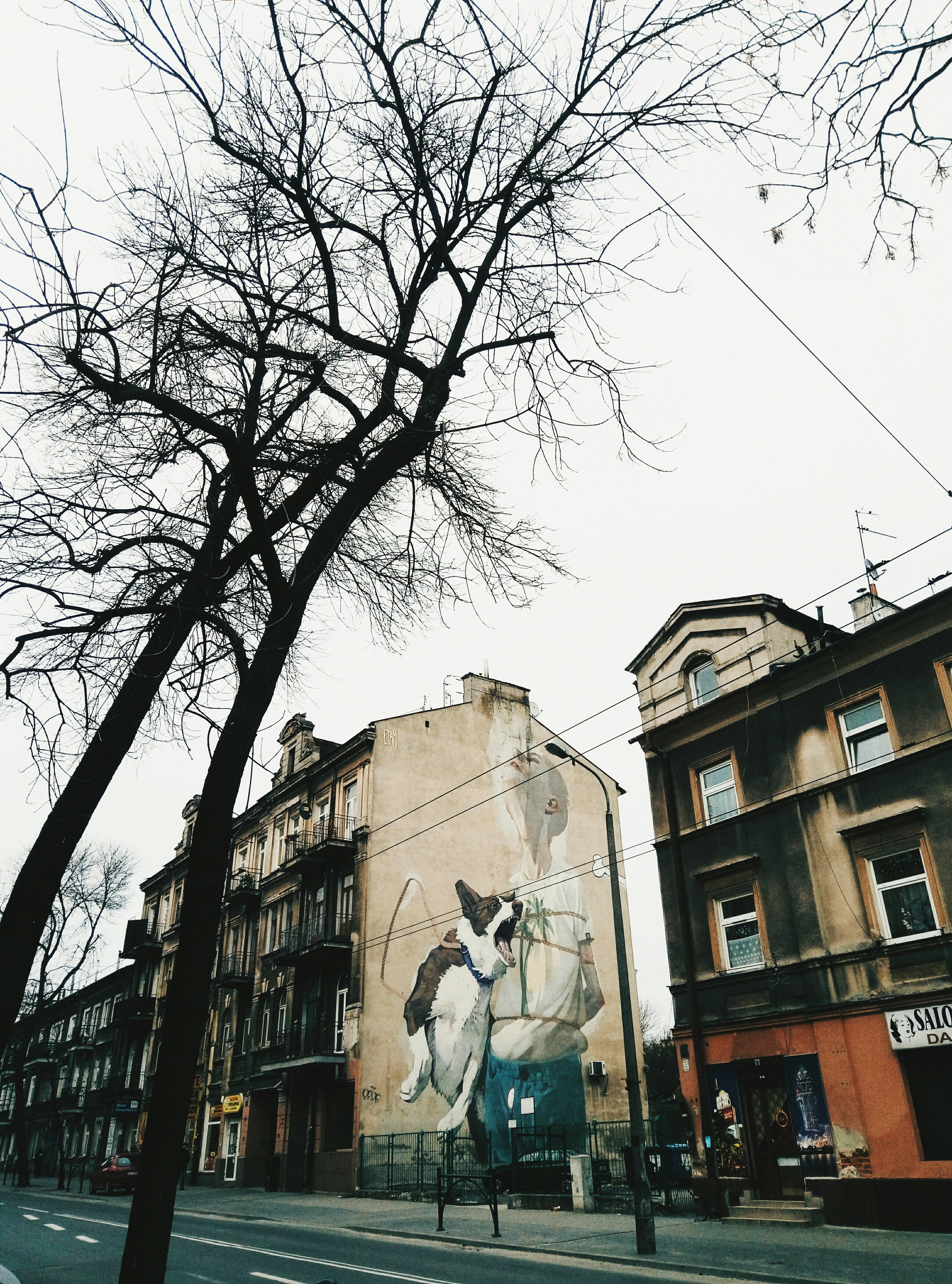 白と茶色のコンクリートの建物