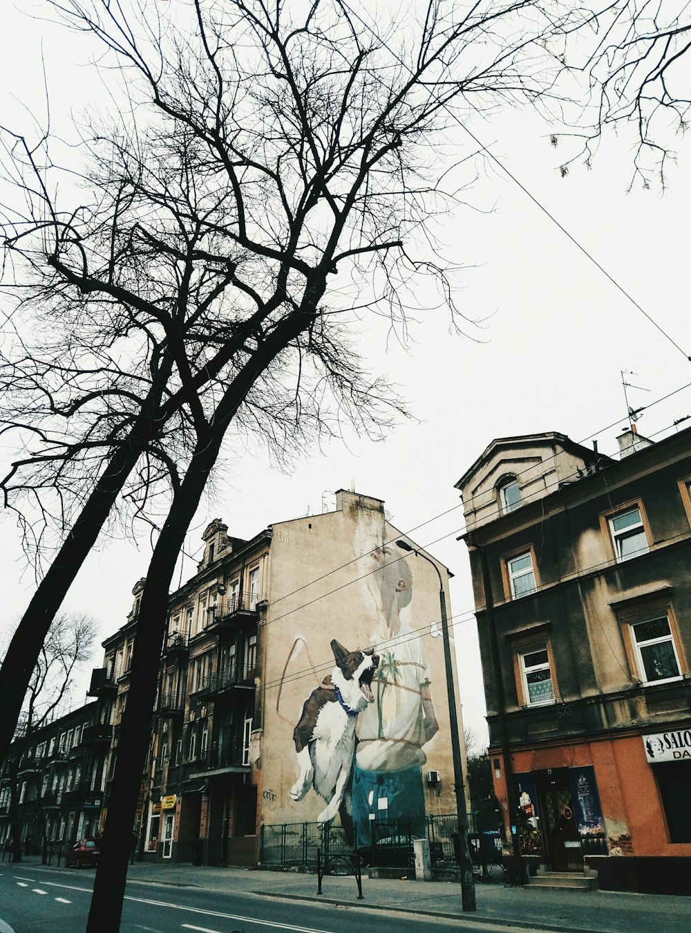 white and brown concrete buildings