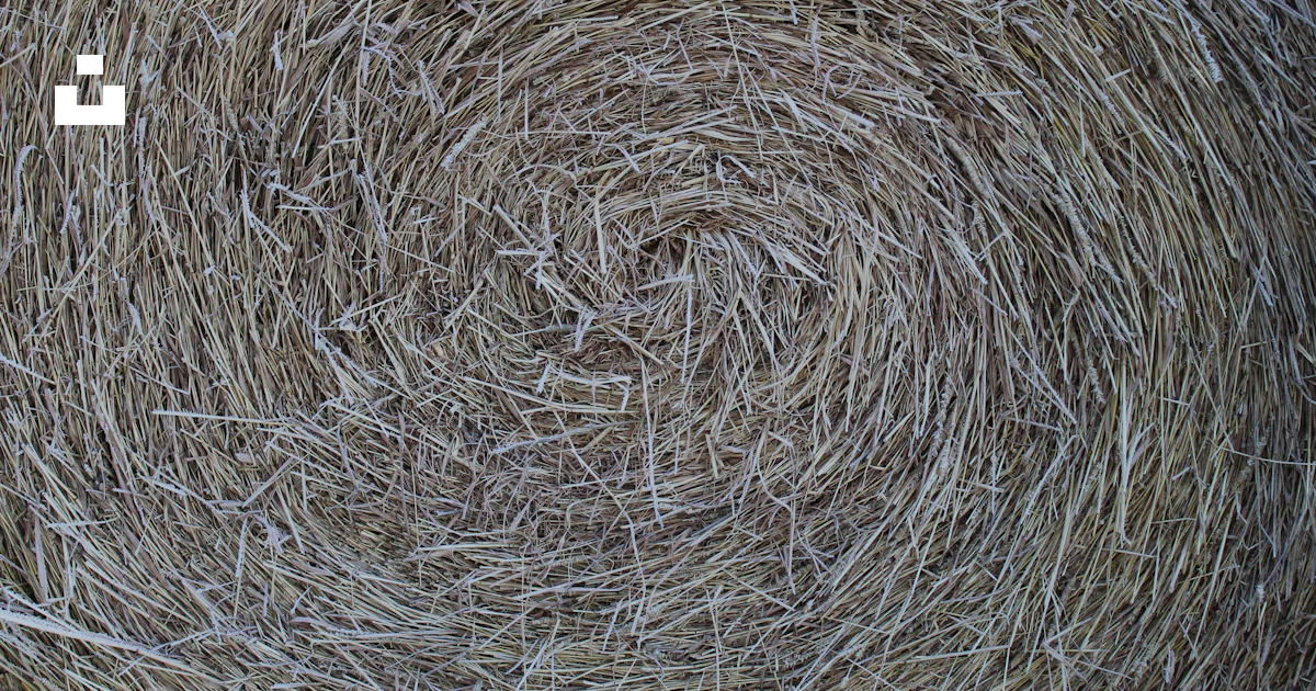 Bale Color Round bale photo – Free Grey Image on Unsplash