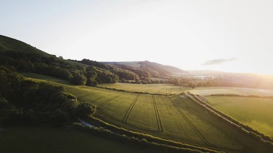 An inviting countryside landscape with rolling hills and rustic farmhouses bathed in warm sunlight.