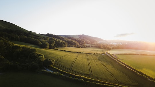 green grass field in Didling United Kingdom