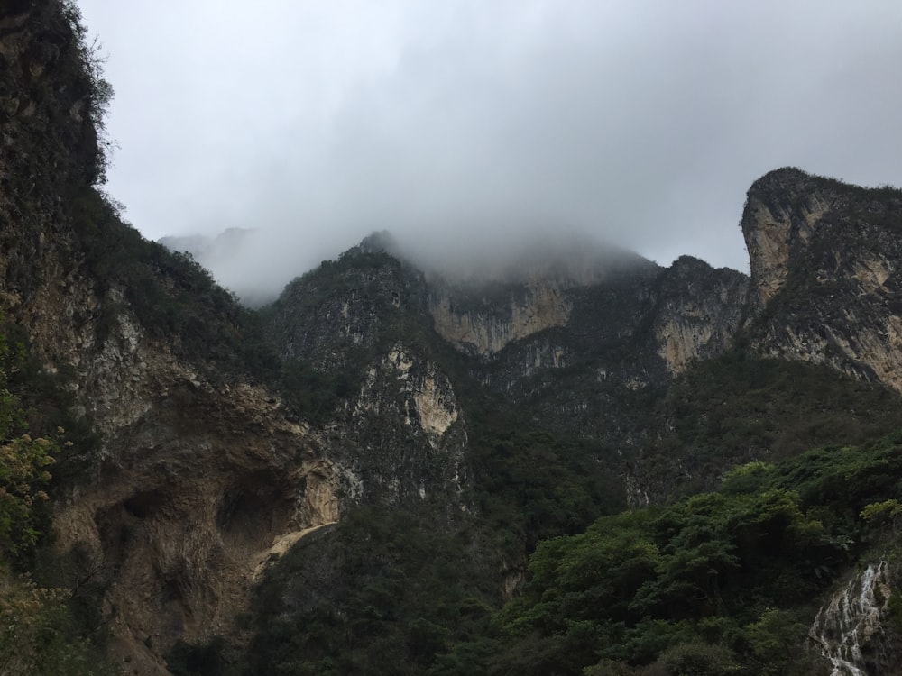 brown mountains covered with fogs