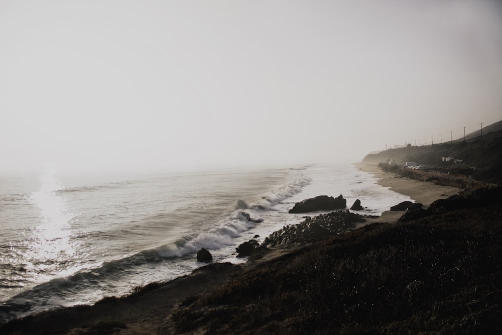 seashore waves