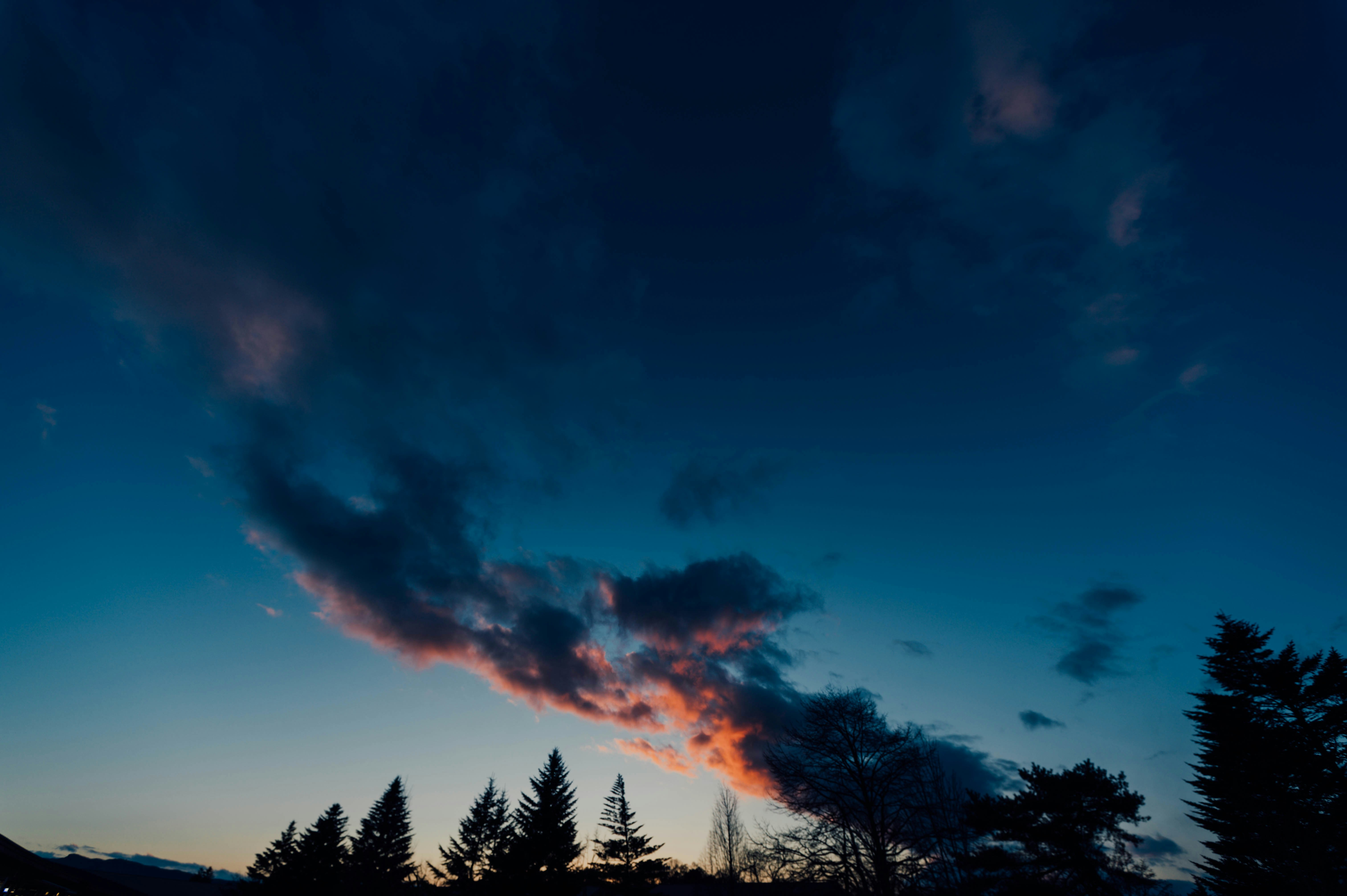 Photo by chuttersnap