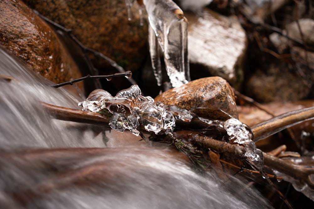 time-lapse photography of water current