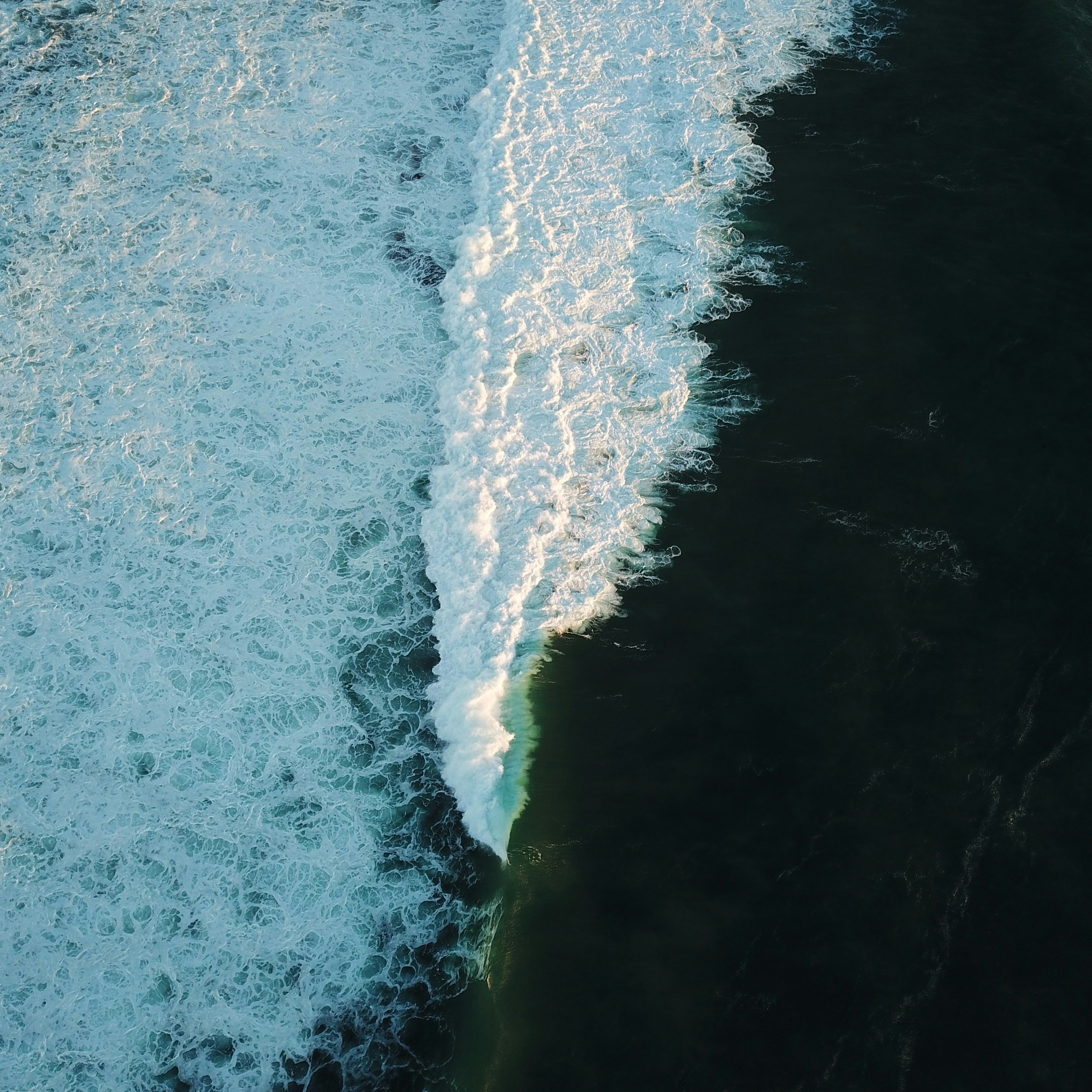 Photo by jakeallison