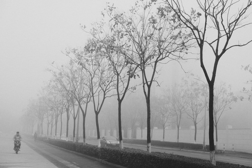 person riding motorcycle passing by bare trees