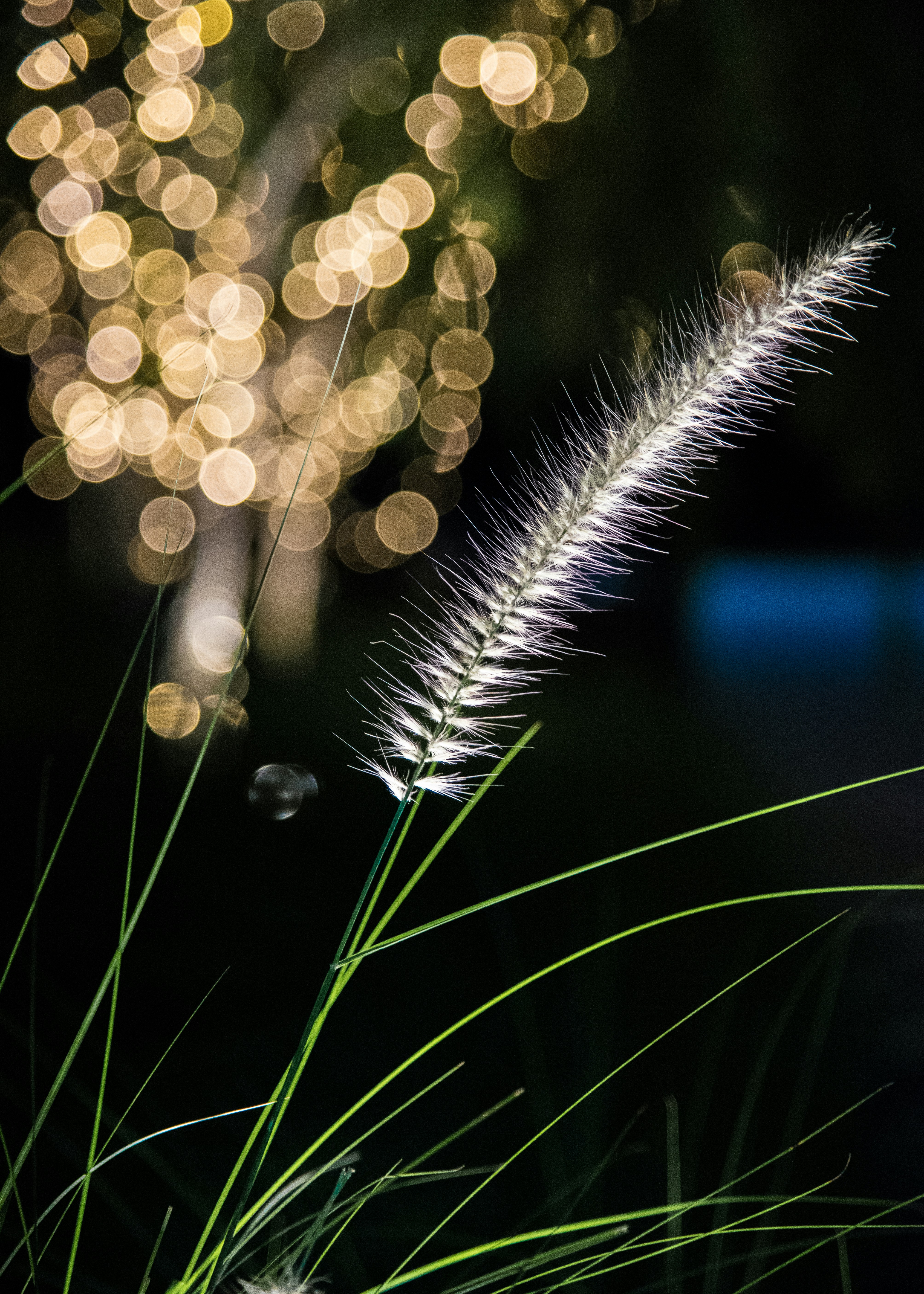 夏天的风歌词，夏天的风歌词完整版
