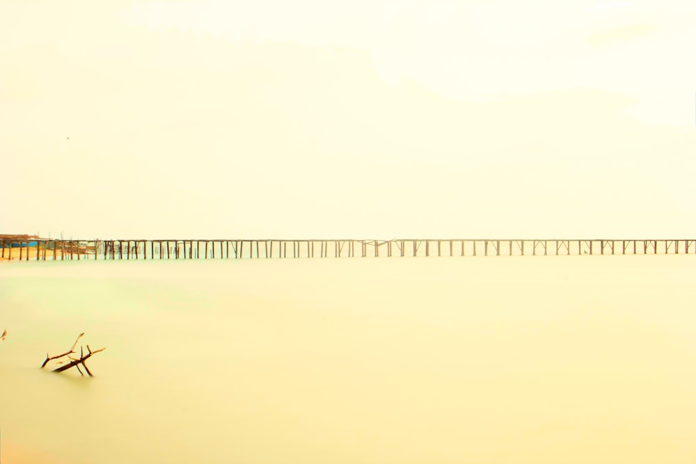 boardwalk and body of water