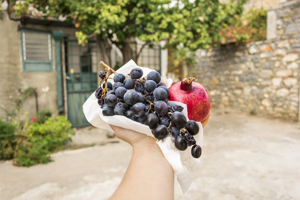 person holding blackberries and red pomegranate fruit