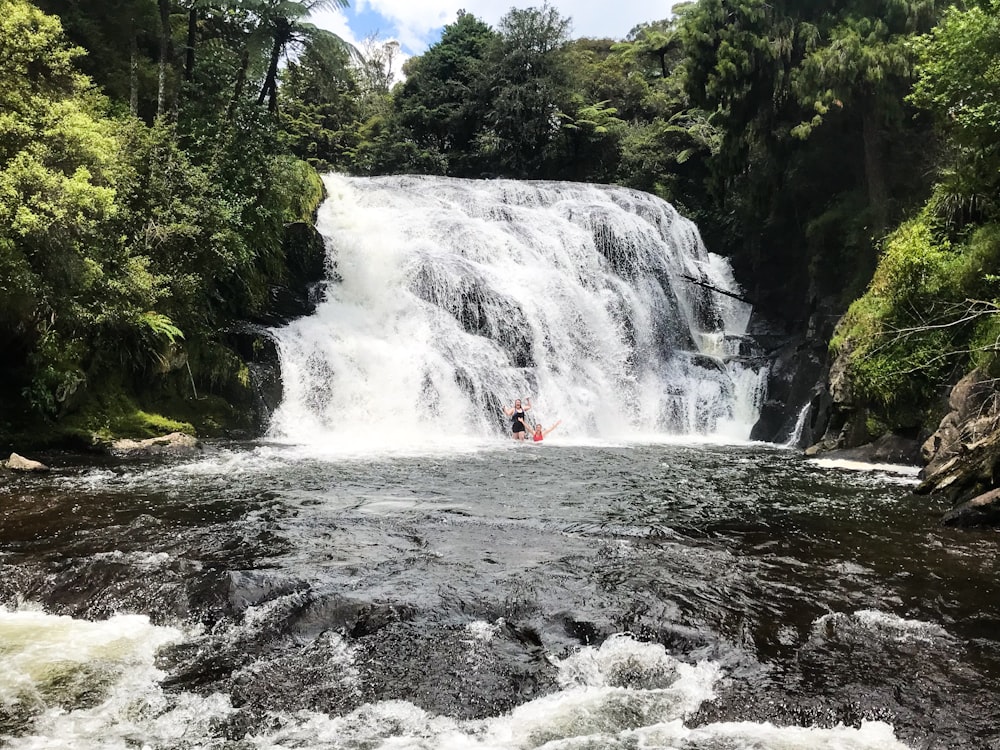 waterfalls near green trees