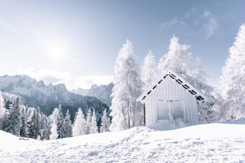 white house coated with snow