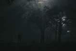 A cinematic thumbnail showing a silhouetted figure walking through a misty forest at dawn.