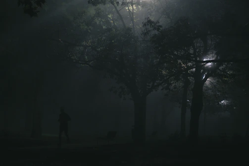 A cinematic thumbnail showing a silhouetted figure walking through a misty forest at dawn.