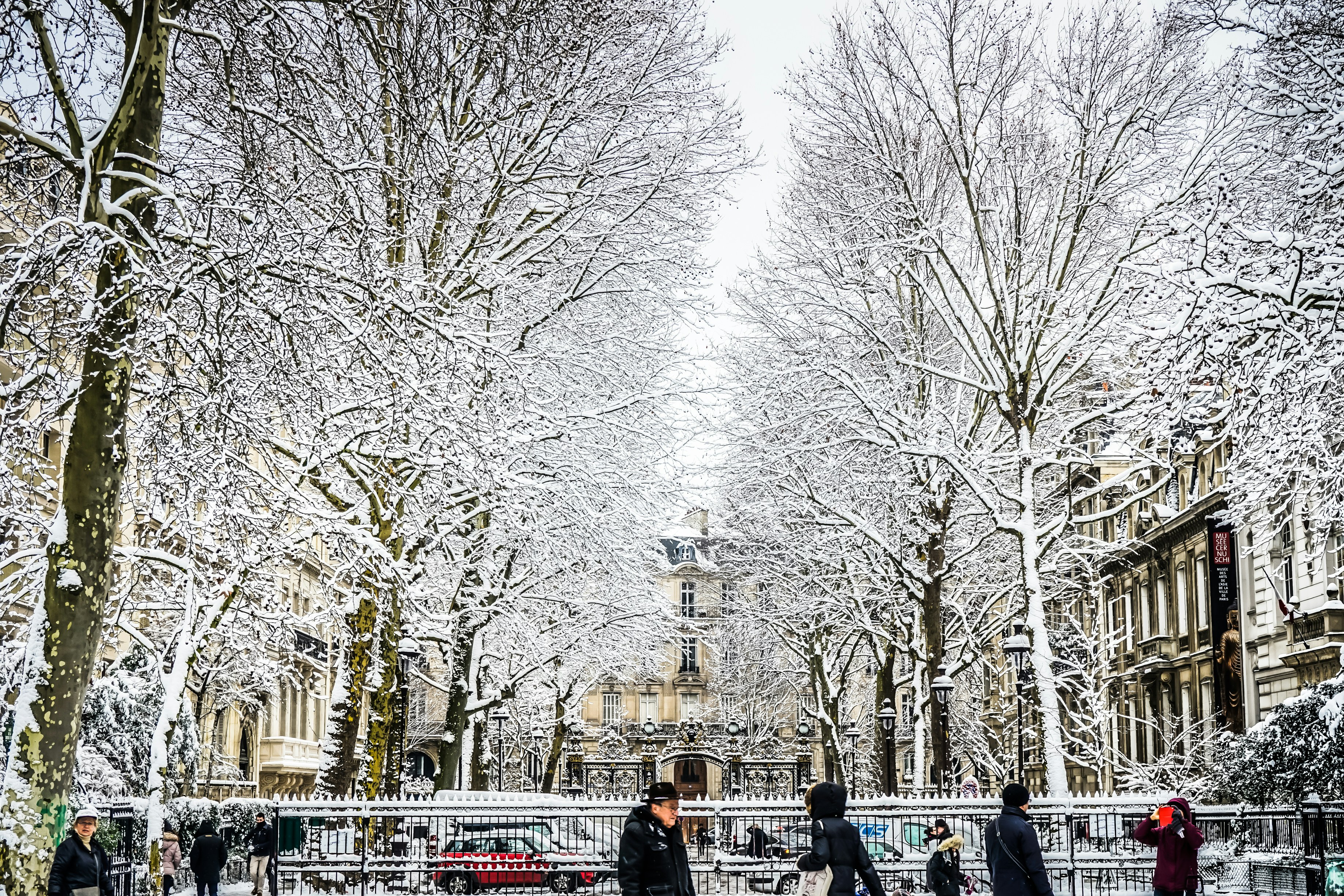 Paris Winter Pictures Download Free Images On Unsplash
