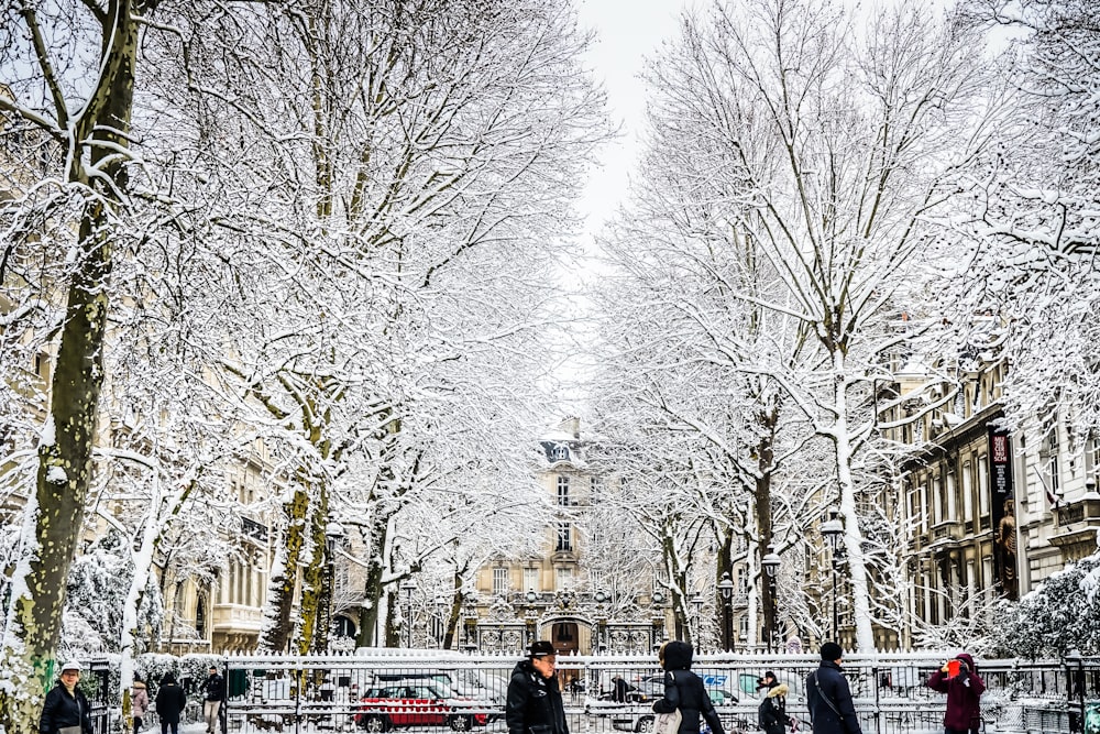 a group of people walking through a park covered in snow