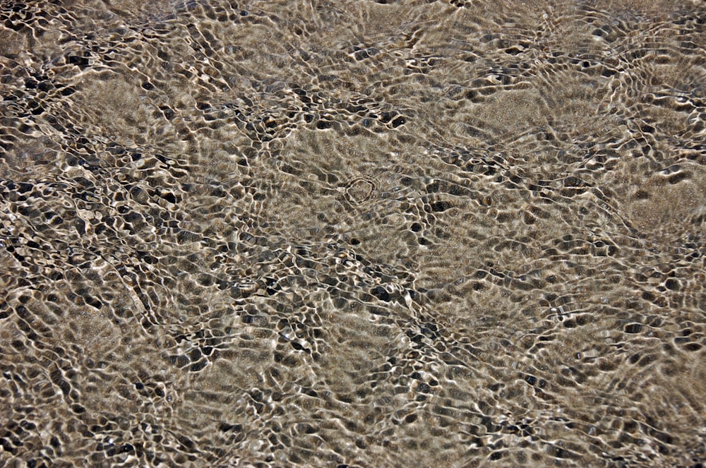 um close up de água e areia em uma praia