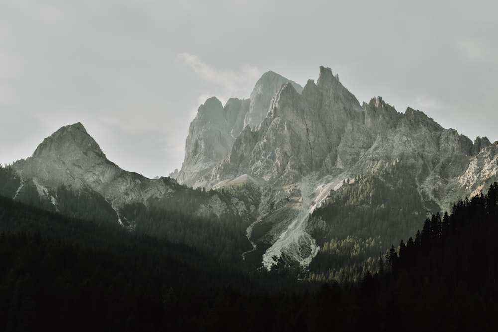 grayscale of mountain